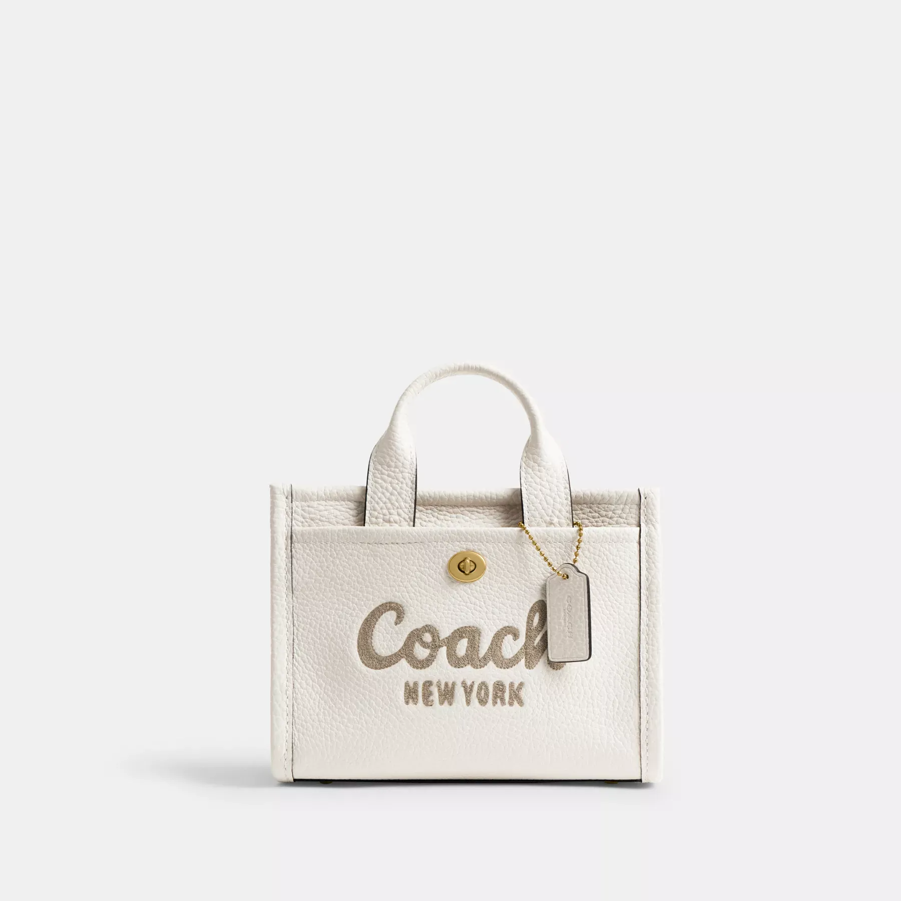 Cargo Tote Bag 20