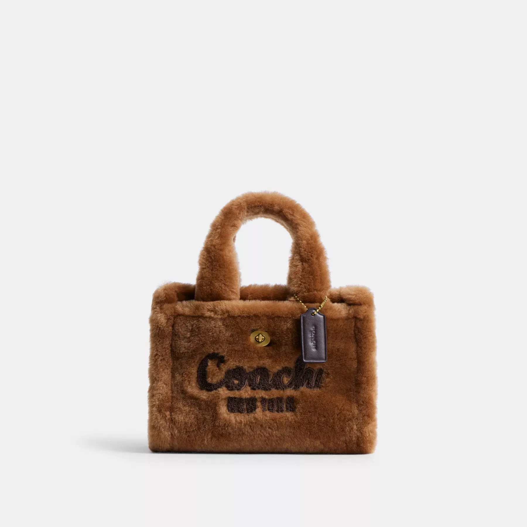Cargo Tote Bag 20 In Shearling