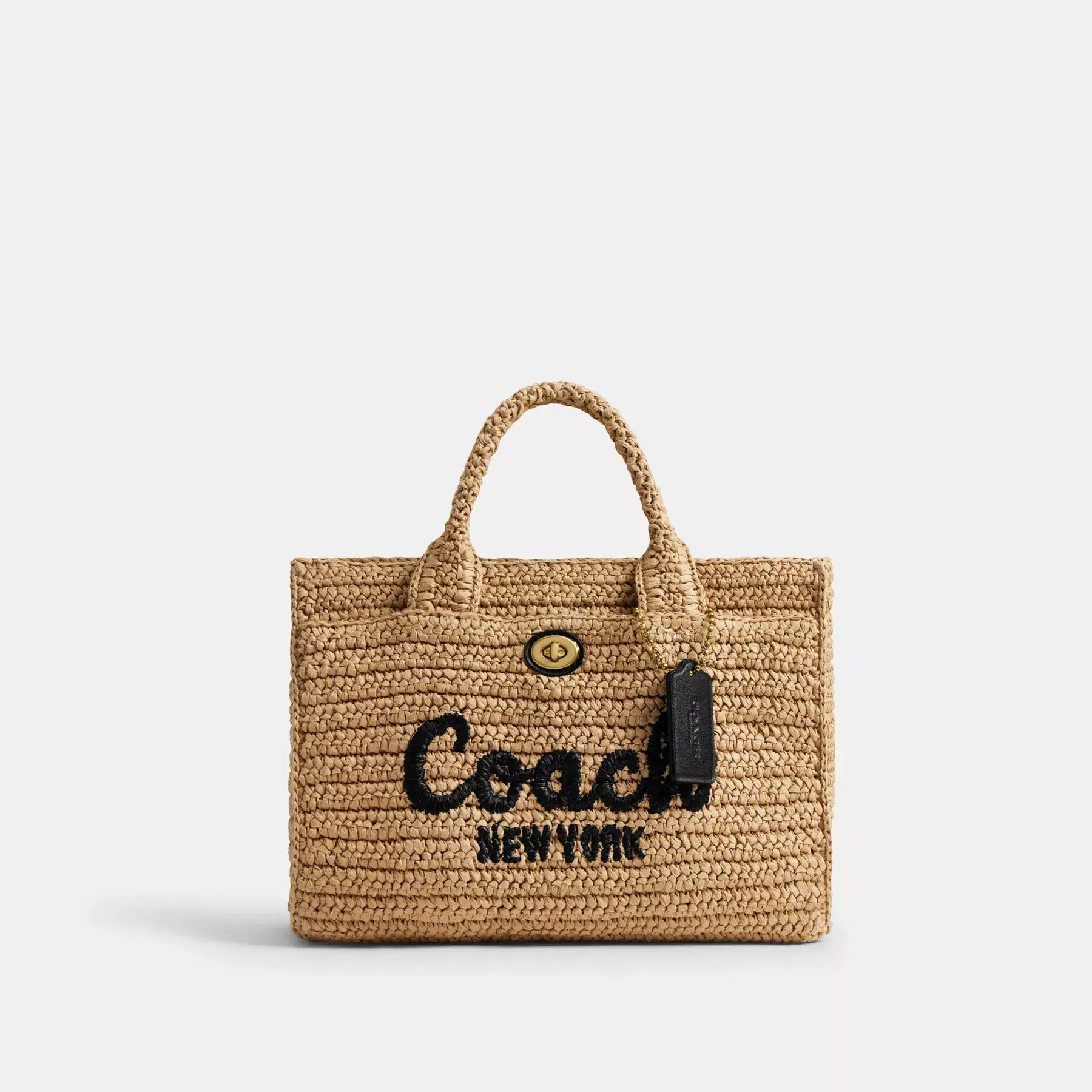 Cargo Tote Bag 26