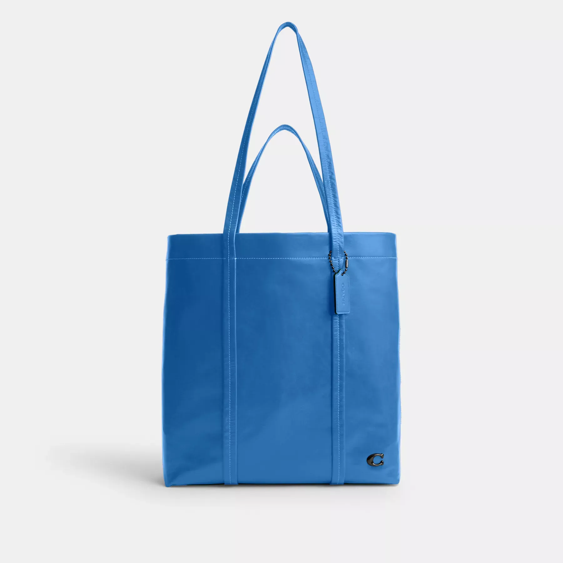 Hall Tote Bag 33