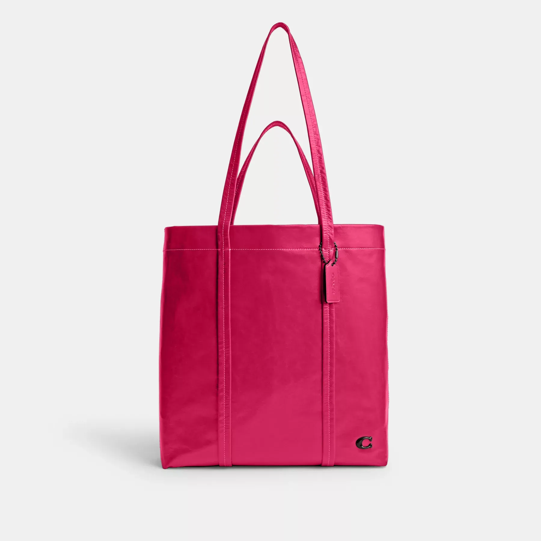 Hall Tote Bag 33