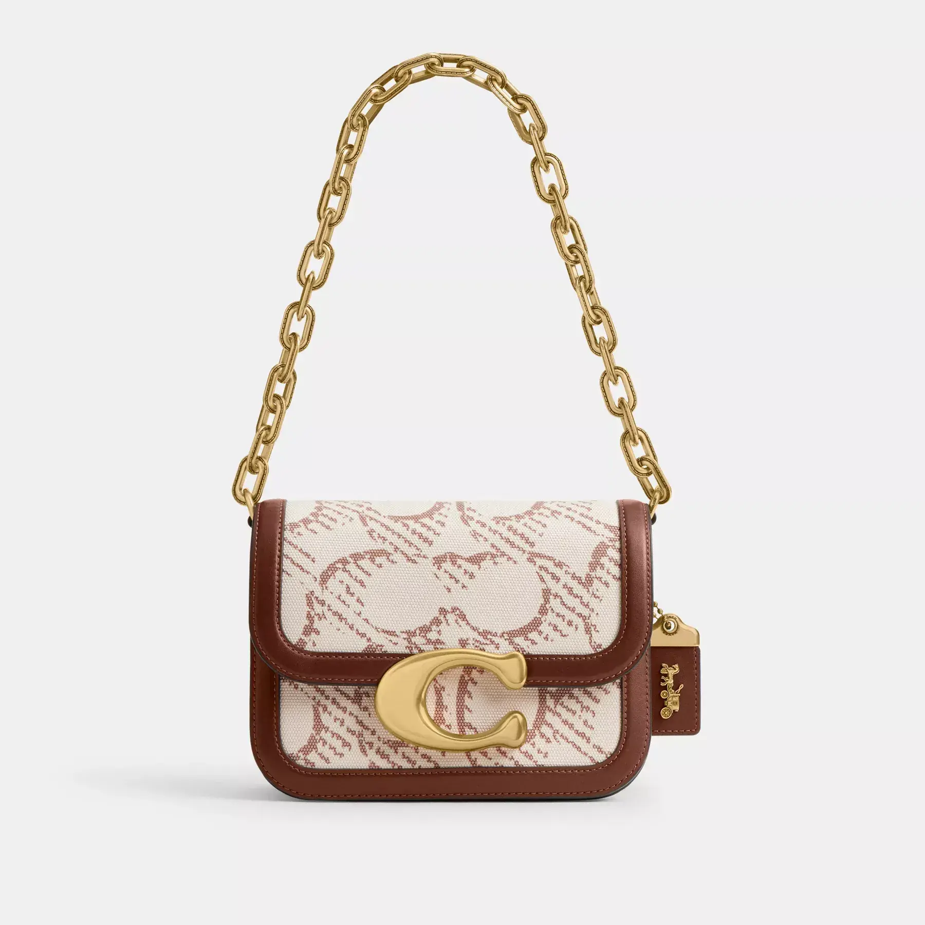 Idol Bag With Signature Canvas