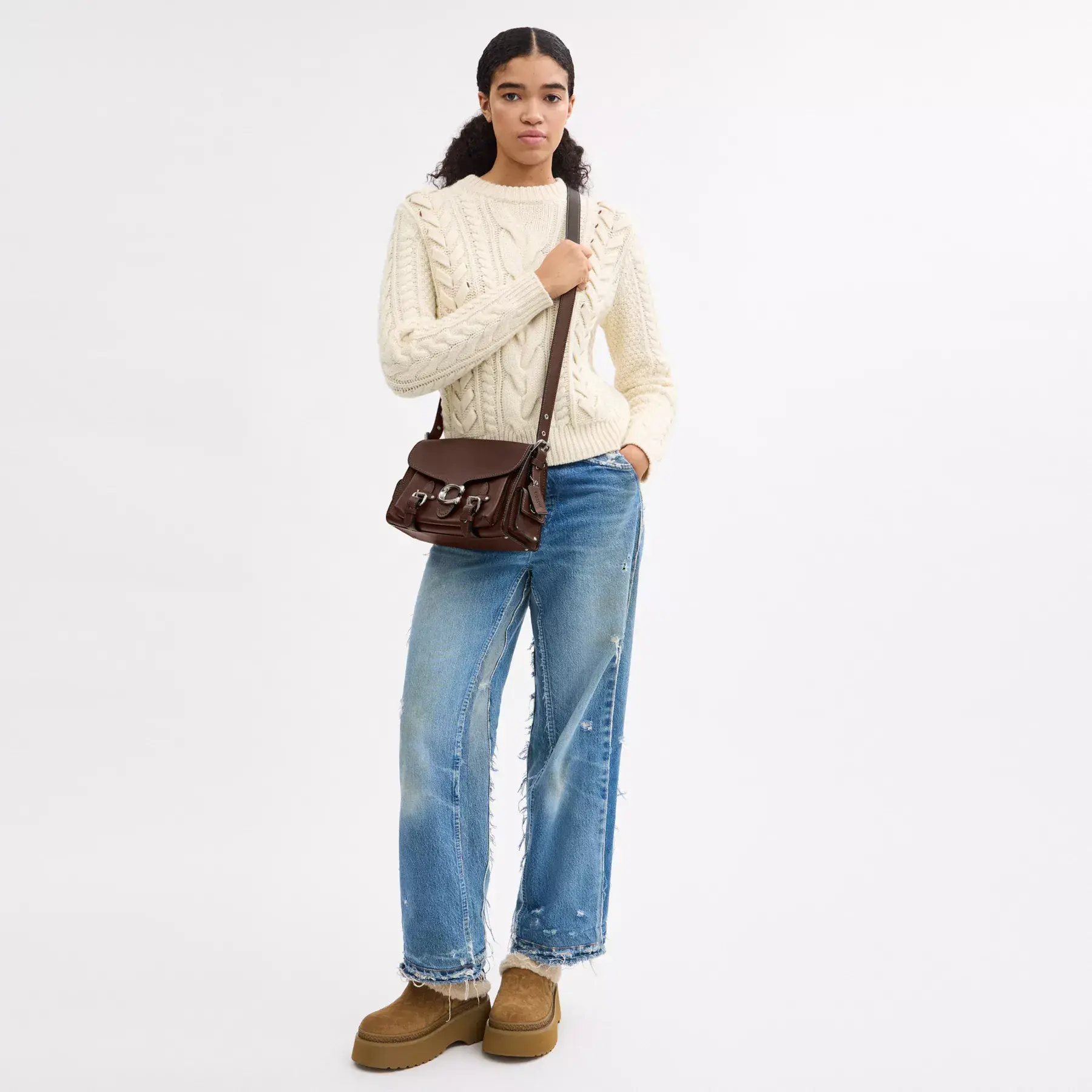 Western Tabby Western Tabby