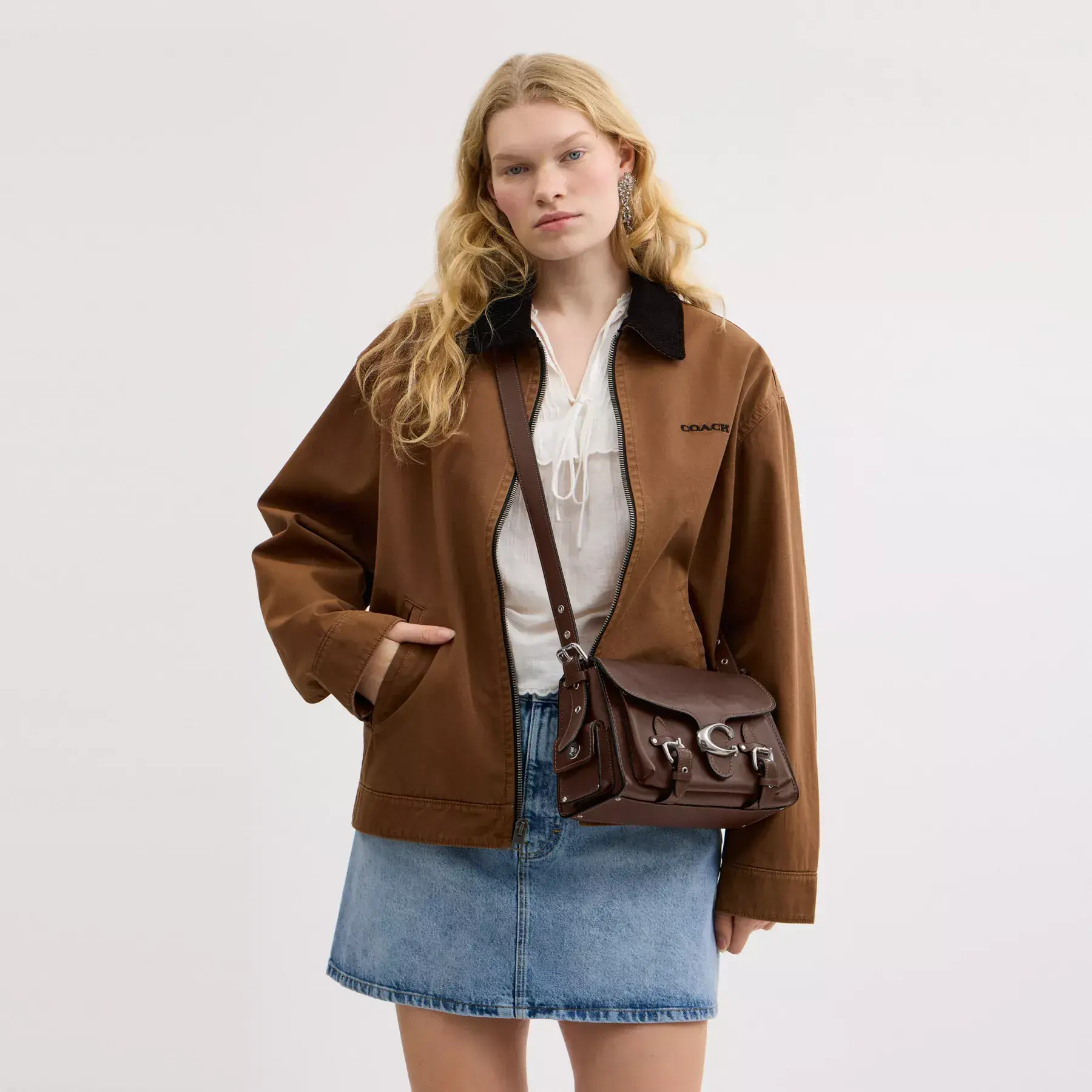 Western Tabby Western Tabby