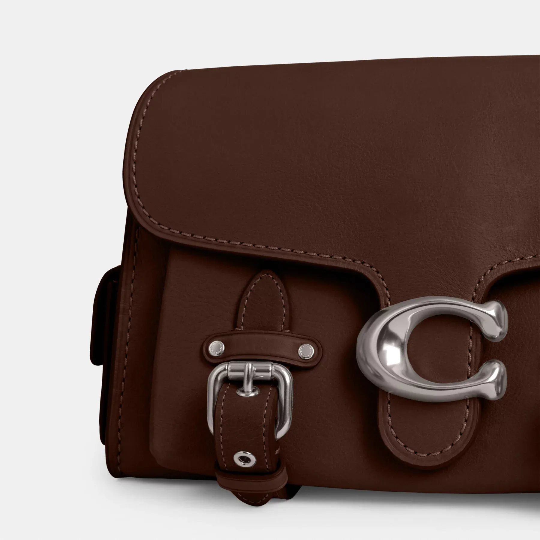 Western Tabby Western Tabby